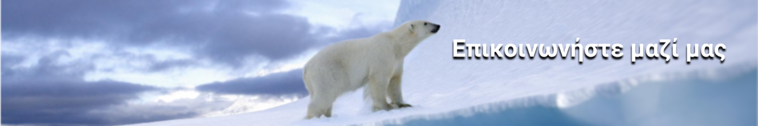 Image of a polar bear on an ice surface
