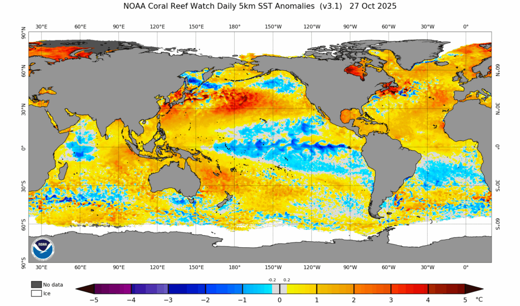 ct5km_ssta_v3.1_global_20251027